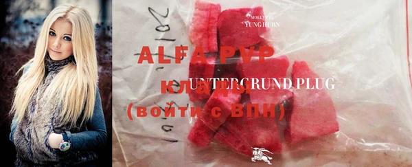 прущие грибы Алзамай
