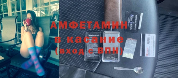прущие грибы Алзамай