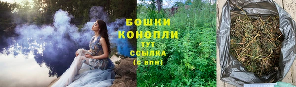 прущие грибы Алзамай