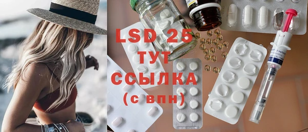 прущие грибы Алзамай